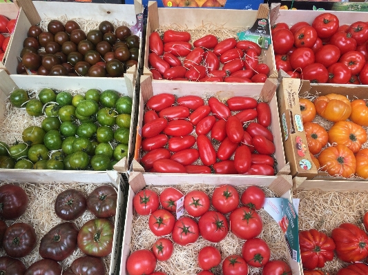 Foto Planta fruta alimento verde