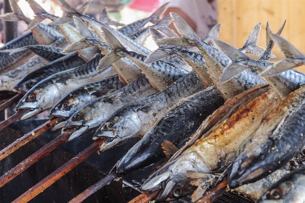 Foto Makanan laut ikan makan