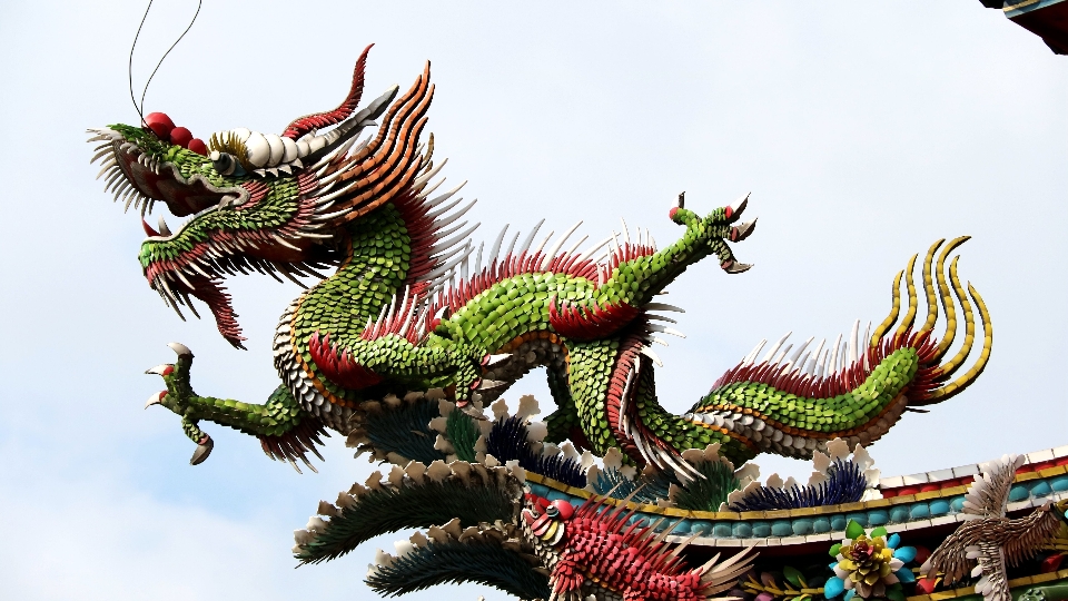 Animal long temple dragon