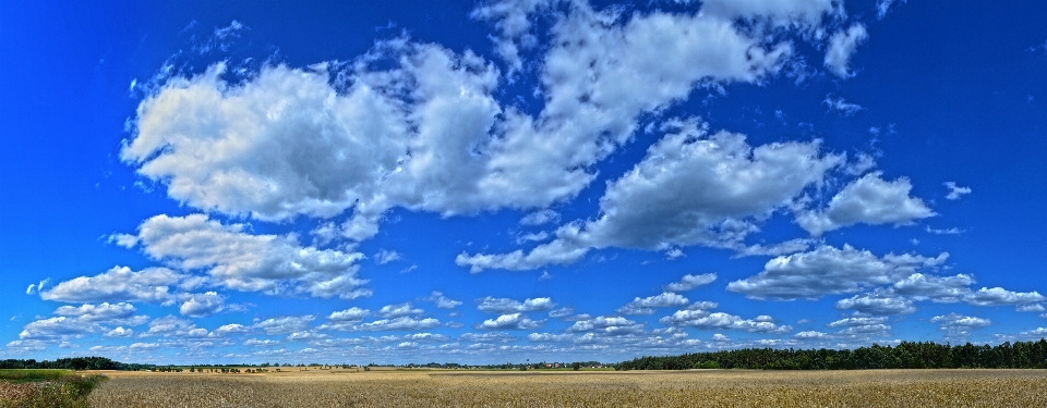 Paysage herbe horizon nuage