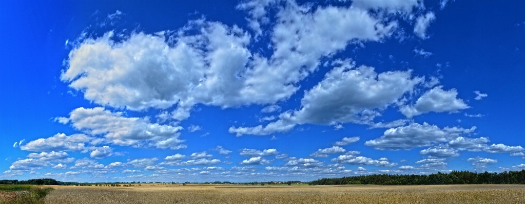 Landscape grass horizon cloud Photo