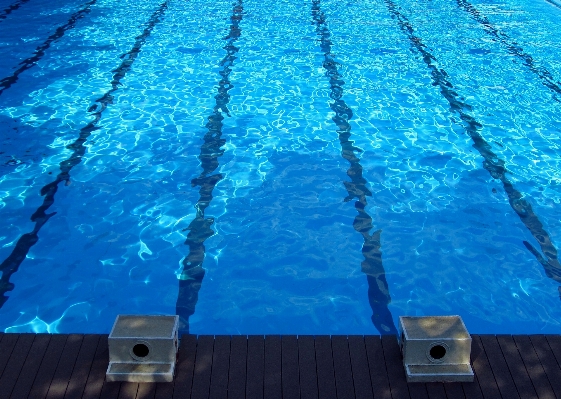 海 スポーツ 夏 プール 写真