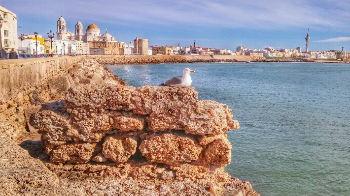 Foto Paisagem mar costa areia