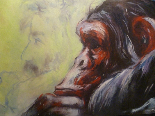 Foto Animal macaco pintura arte