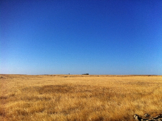 Landscape grass horizon fence Photo