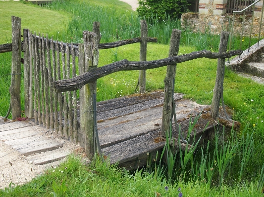 Grass fence wood bridge Photo