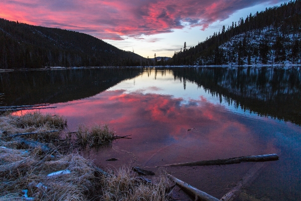 Foto Paesaggio acqua natura selvaggia
