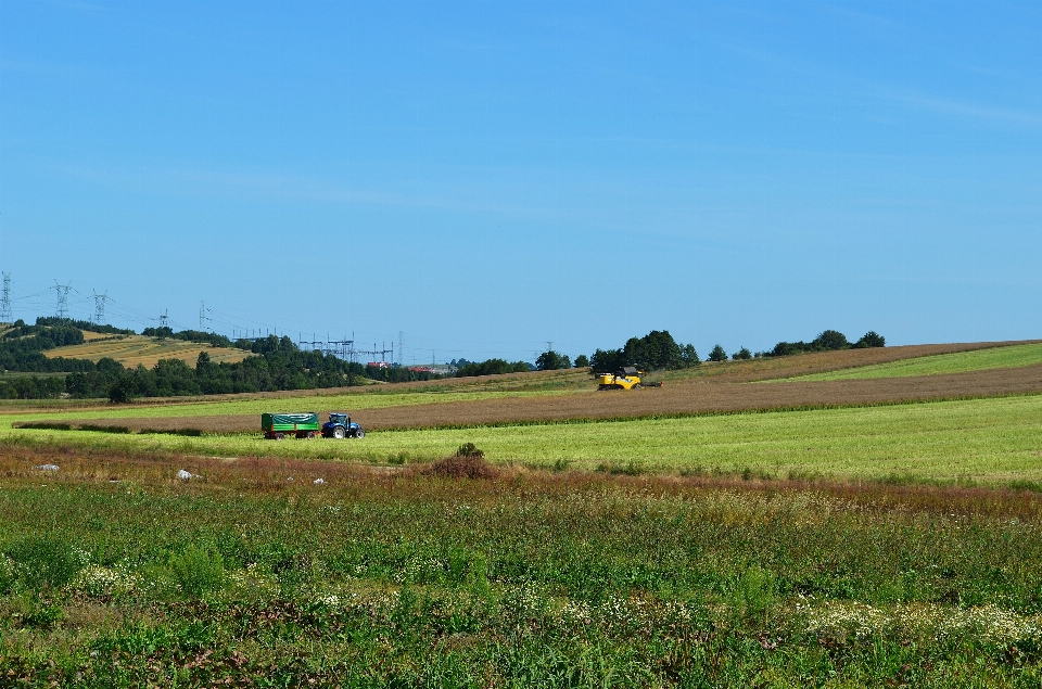 Arbeiten landschaft gras horizont