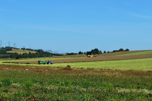 Arbeiten landschaft gras horizont Foto