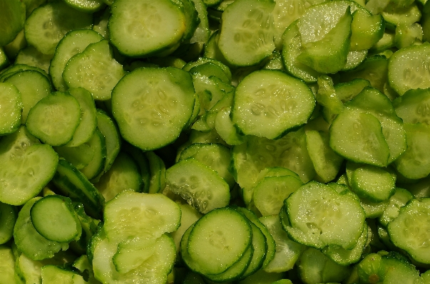 自然 植物 皿 食べ物 写真