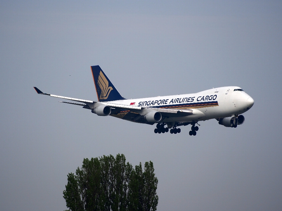 Asa aeroporto avião aeronave