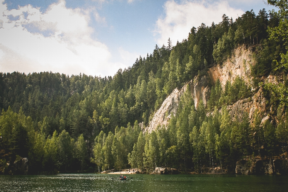 Paisaje árbol agua naturaleza