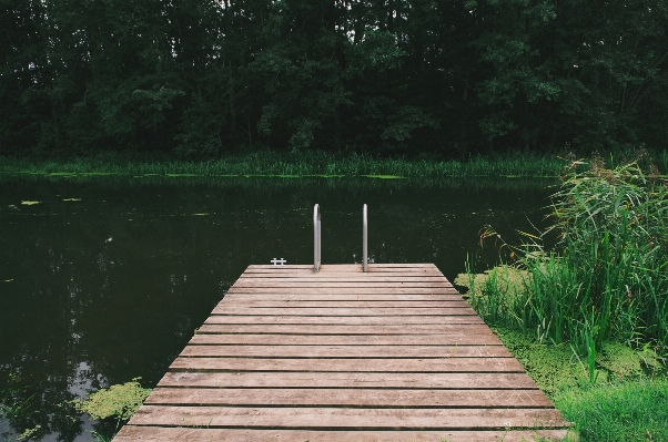 Landscape water nature forest Photo