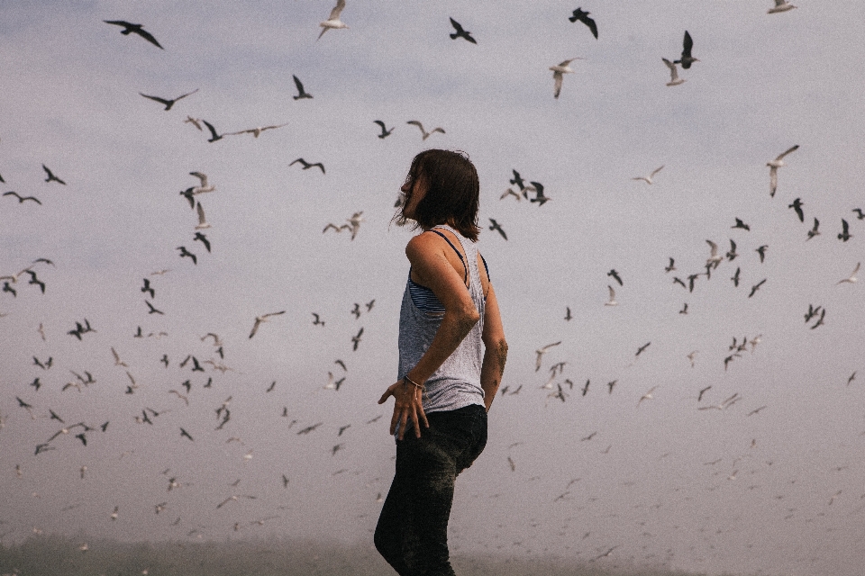 Naturaleza persona pájaro chica