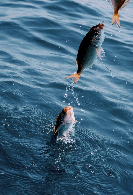 Man sea water nature