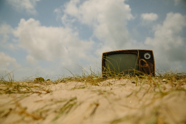 Landscape nature grass sand Photo