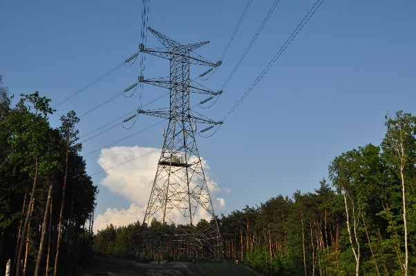 Forest cloud sky tower Photo