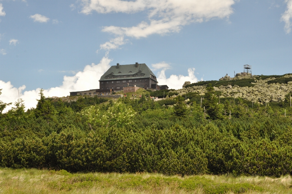 Nature champ cultiver colline