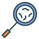 Magnifying glass Icon