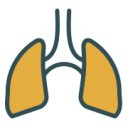 Lungs Icon