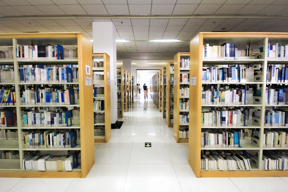 Livre bâtiment intérieur étagère à livres