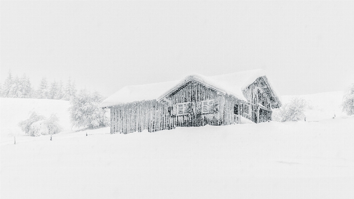 Photo Neige froid hiver noir et blanc
