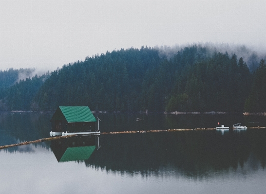 Water forest mountain cold Photo