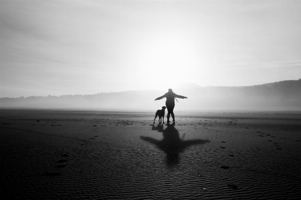 Beach sea coast sand Photo