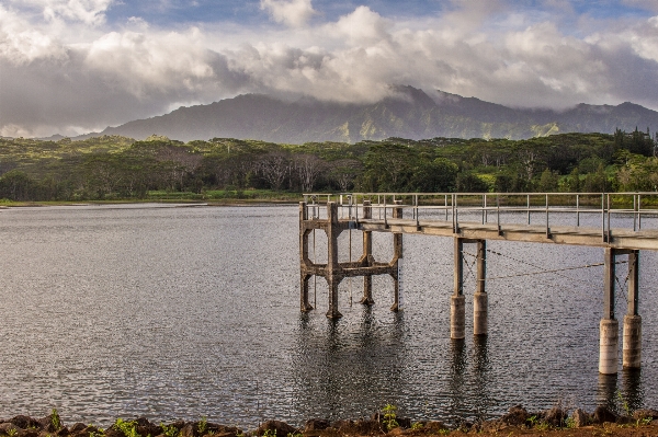 Landscape sea tree water Photo