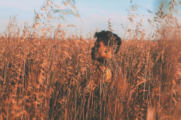 Grass plant field barley Photo