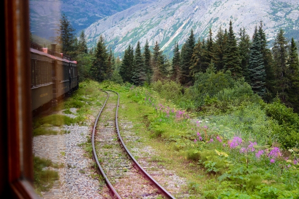 Wald weg schiene eisenbahn Foto