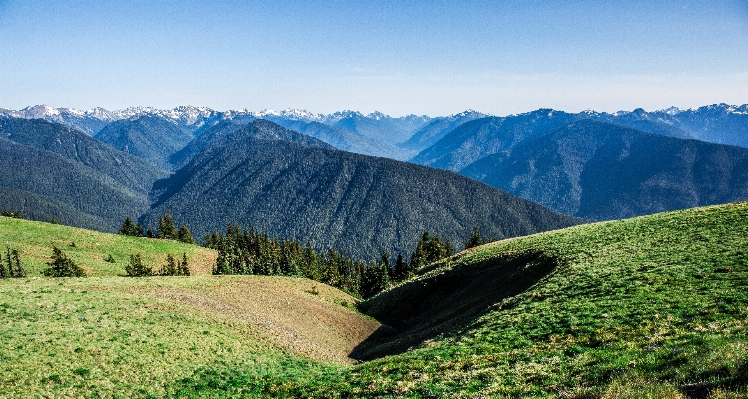 Photo Paysage nature région sauvage
 marche