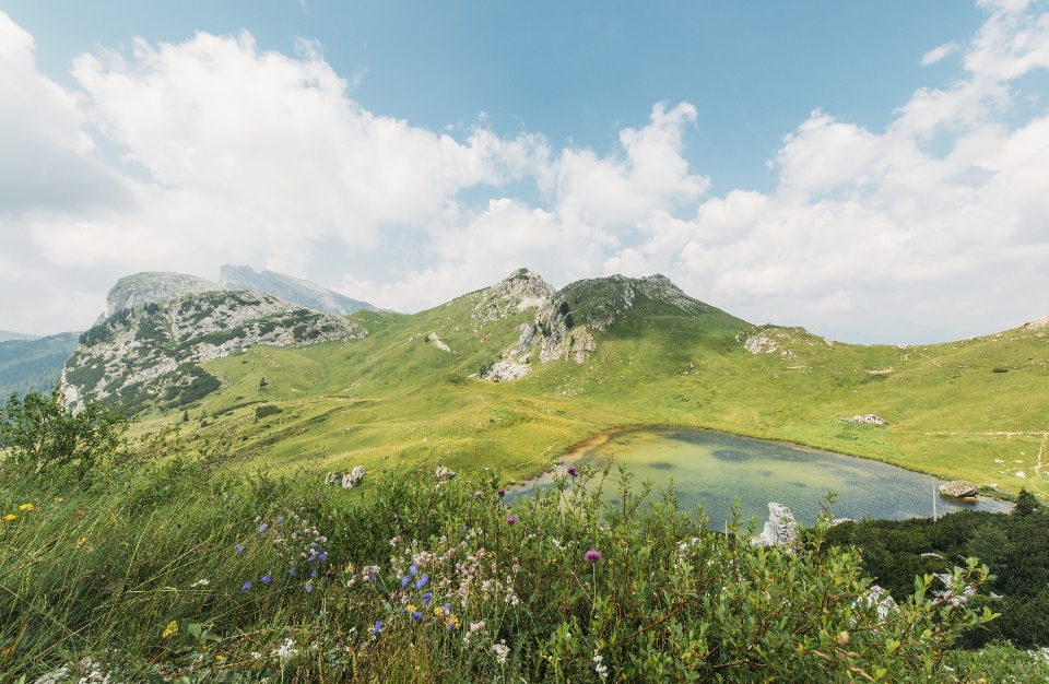 Landscape nature grass wilderness