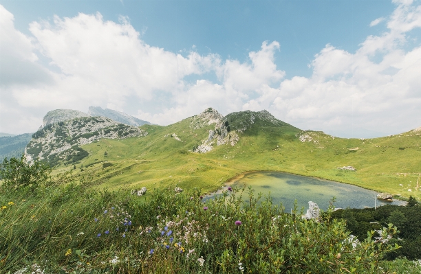 Landscape nature grass wilderness Photo