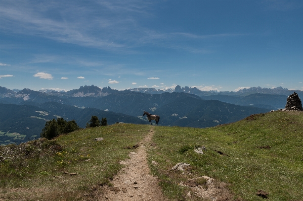 Landscape nature wilderness walking Photo