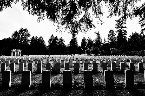 Photo Noir et blanc
 banc la photographie cimetière