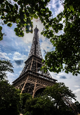 Tree leaf flower eiffel tower Photo