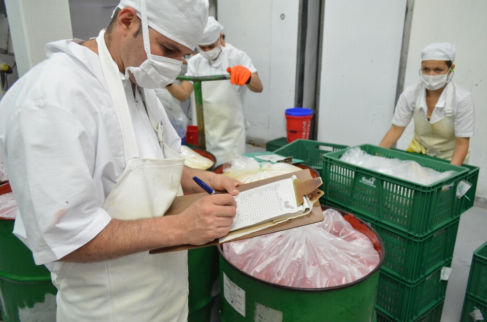 Persona alimento biología industria