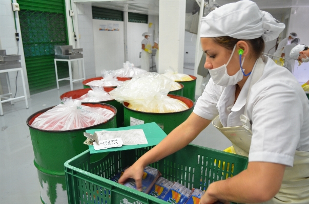 Meal food cooking industrial Photo