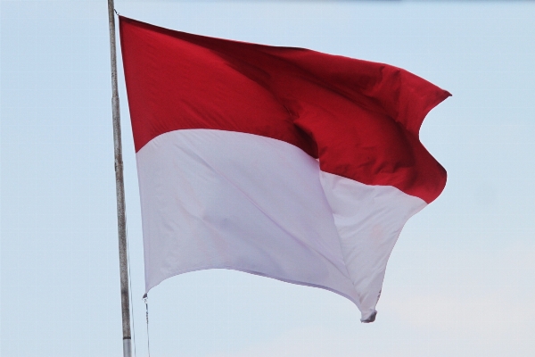 Wing wind umbrella flag Photo