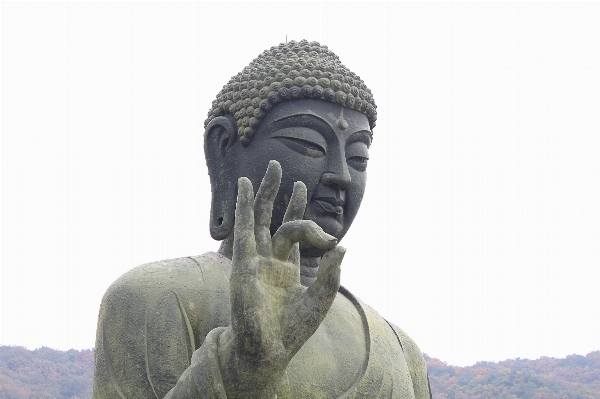 Foto Monumento estátua budismo religião