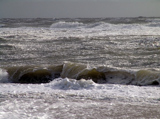 Beach sea coast water Photo