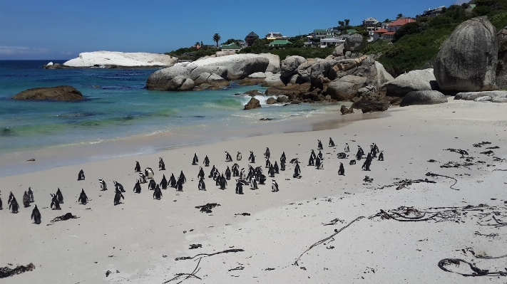 Beach landscape sea coast Photo