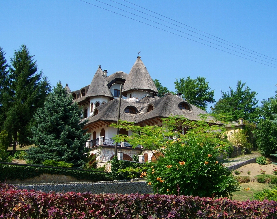 Architecture fleur bâtiment village