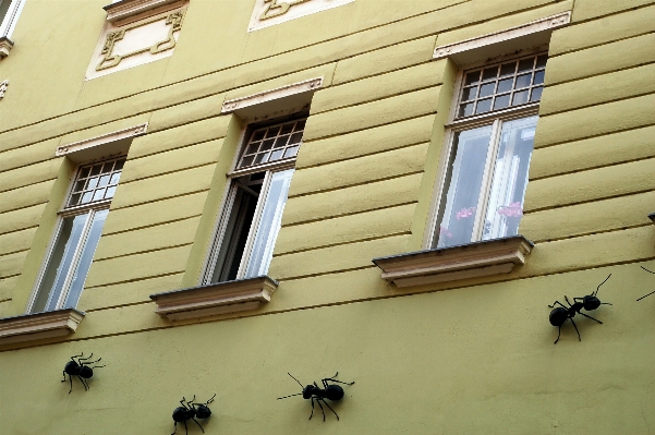 Wood house window home Photo