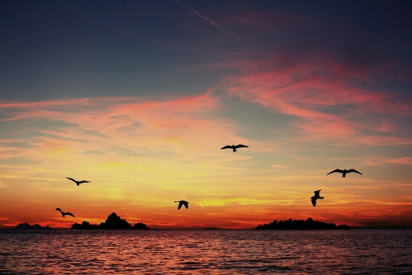 Beach landscape sea coast Photo