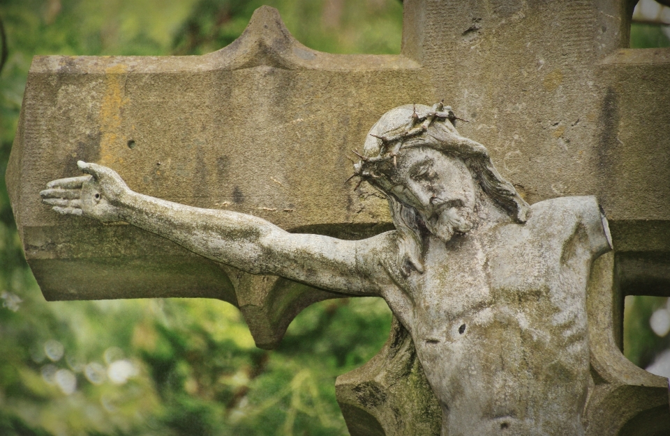 Arbre vieux monument statue