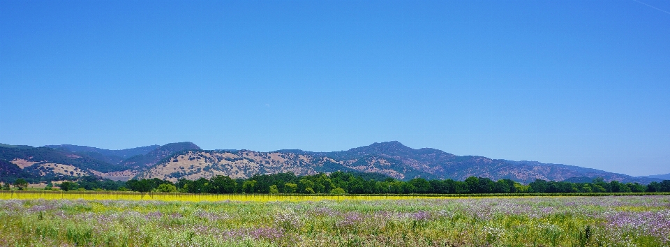 Landscape nature outdoor horizon