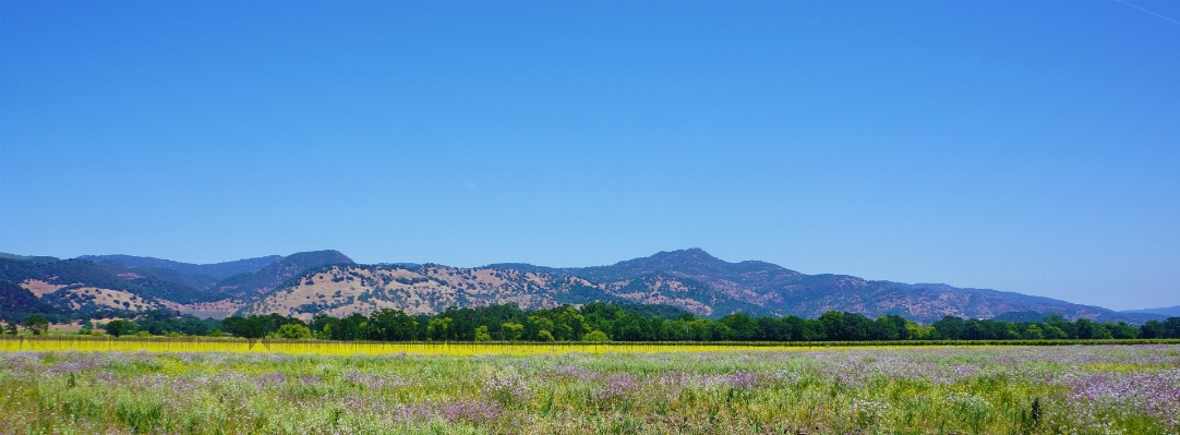 Landscape nature outdoor horizon Photo