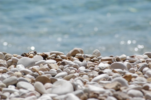 Beach sea water sand Photo